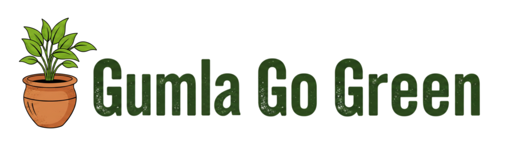 1 20251223 015433 0000