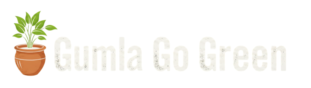 2 20251223 015433 0001